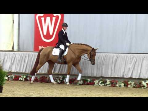 100 Filinda  Stute v. Zhivago - Fidermark