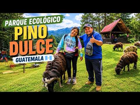 🌿 Visitamos el Parque Ecológico Pino Dulce y fue increíble
