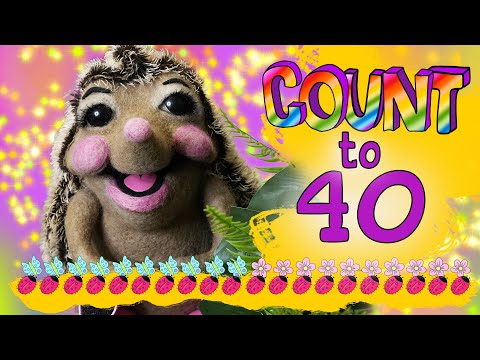 Count to 40 with Missy May Hedgehog // KIDS learn English numbers