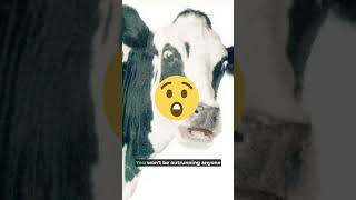 Download lagu The $4,000 Mini EV Beating Tesla | The Wuling Honguang Mini EV #china #evs mp3 Download lagu The $4,000 Mini EV Beating Tesla | The Wuling Honguang Mini EV #china #evs mp3