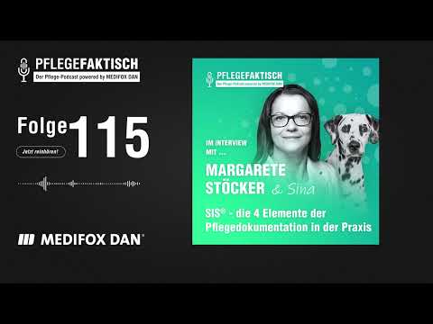 PflegeFaktisch #115 SIS® - die 4 Elemente der Pflegedokumentation in der Praxis