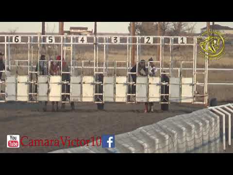 La Huesos Vs El Catrin 250