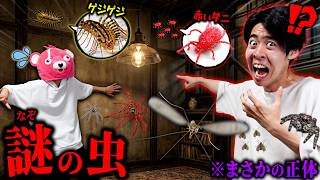 【閲覧注意】家の中に出る『謎の虫』の本当の正体がヤバすぎた。【5選】