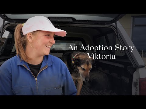 An Adoption Story (S1): Viktoria's Search and Discovery of Her Birth Mother