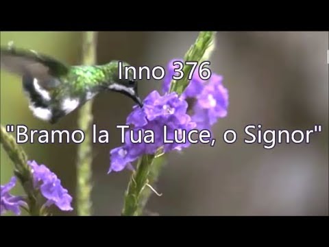 Inno 376 - Bramo la Tua Luce, o Signor - Senhor, preciso mais... (em italiano) H05 CCB