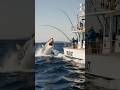 You Won T Believe What A Shark Did To A Fishing Boat Look At The End Attack Shark Fishing Pov