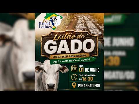 LEILÃO  GADO DE CORTE BRASIL LEILÕES  PORANGATU - GO  01 /06 / 2026