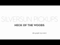 Silversun Pickups - Skin Graph (np remix) 