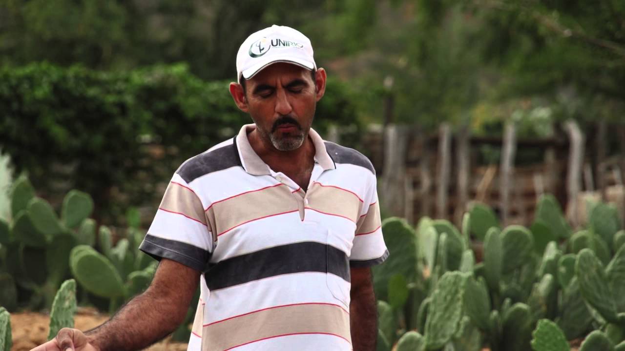 Riocon   Cadeia Produtiva Sustentável de Caprinos e Ovinos