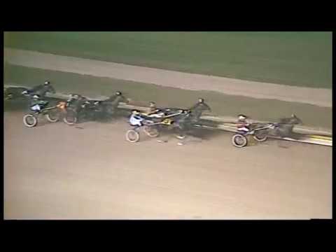 1981 Challenge Cup Trot - Roosevelt Raceway