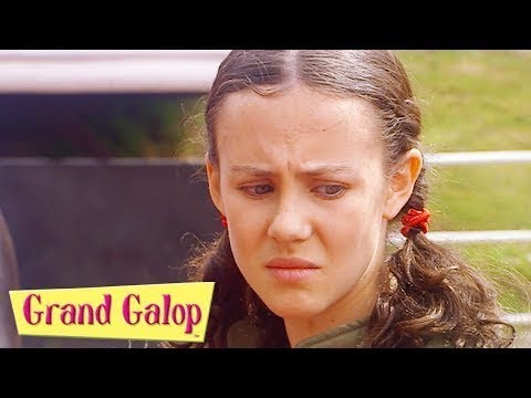Grand Galop 216 - Cavalier d'un soir | HD | Épisode Complet