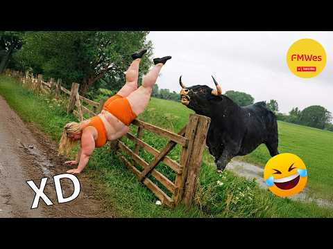 SI TE RÍES PIERDES NIVEL DIOS #644 🤣 VIDEOS DE RISA 😎HUMOR VIRAL MEXICANO🤣