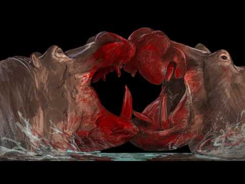 Hippos: The Animal That Just Doesn't Make Sense