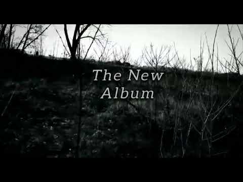 RICHARD B. LEWIS : VOICES