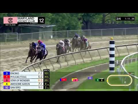 Pimlico Carrera 12 ( Pimlico Special S. Gr 3 ) - 16 de Mayo 2025