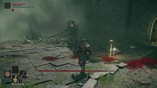 エルデンリング初見プレイ