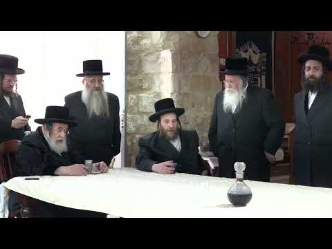 כ"ק אדמו"ר מוויזניץ שליט"א באזוכט באזוכט ביי כ"ק אדמו"ר מנדבורנה צפת שליט"א
