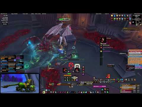 Fated Castle Nathria: Shriekwing Heroic Kill