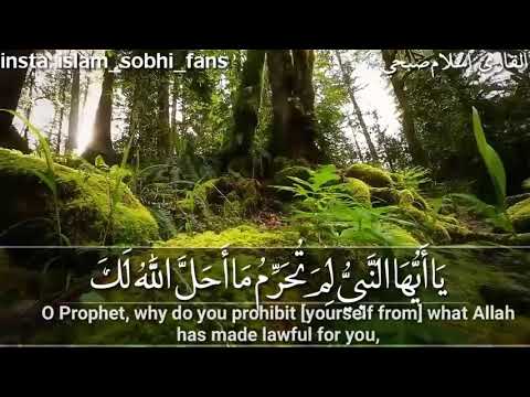 Heart Soothing Recitation | Surah At-Tahrim - Islam Sobhi اسلام صبحي
