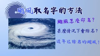 颱風命名規則1分鐘短片｜近幾年來哪些颱風被除名了？為什麼除名？一起來看看吧！