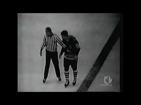 Terry Sawchuk (Game 5/1967 Semis vs Chicago)