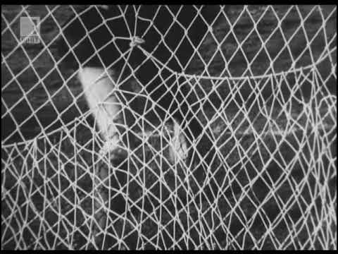 Levski - CDNA 2:2 6/7/1958 "A" RFG