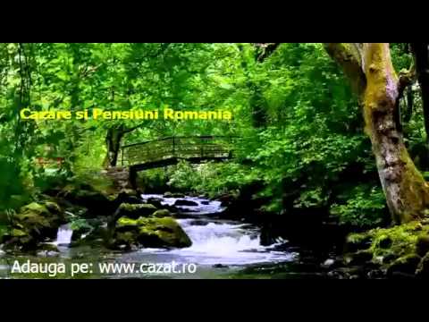 Cazare Borsa Catun, Cluj - Cazat.ro