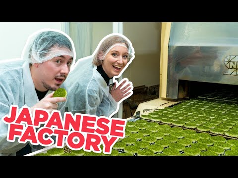 參觀傳統的日本小吃工廠 ft.@國外在日本 (Tour of a Traditional Japanese Snack Factory ft. @Abroad in Japan)