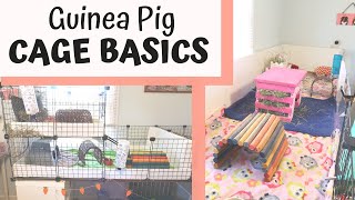 GUINEA PIG CAGE BASICS | Setting Up a New Guinea Pig Cage
