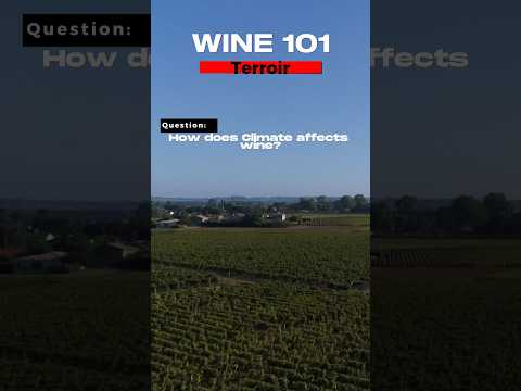 Wine 101: Terrior-How Does Climate affects wine?