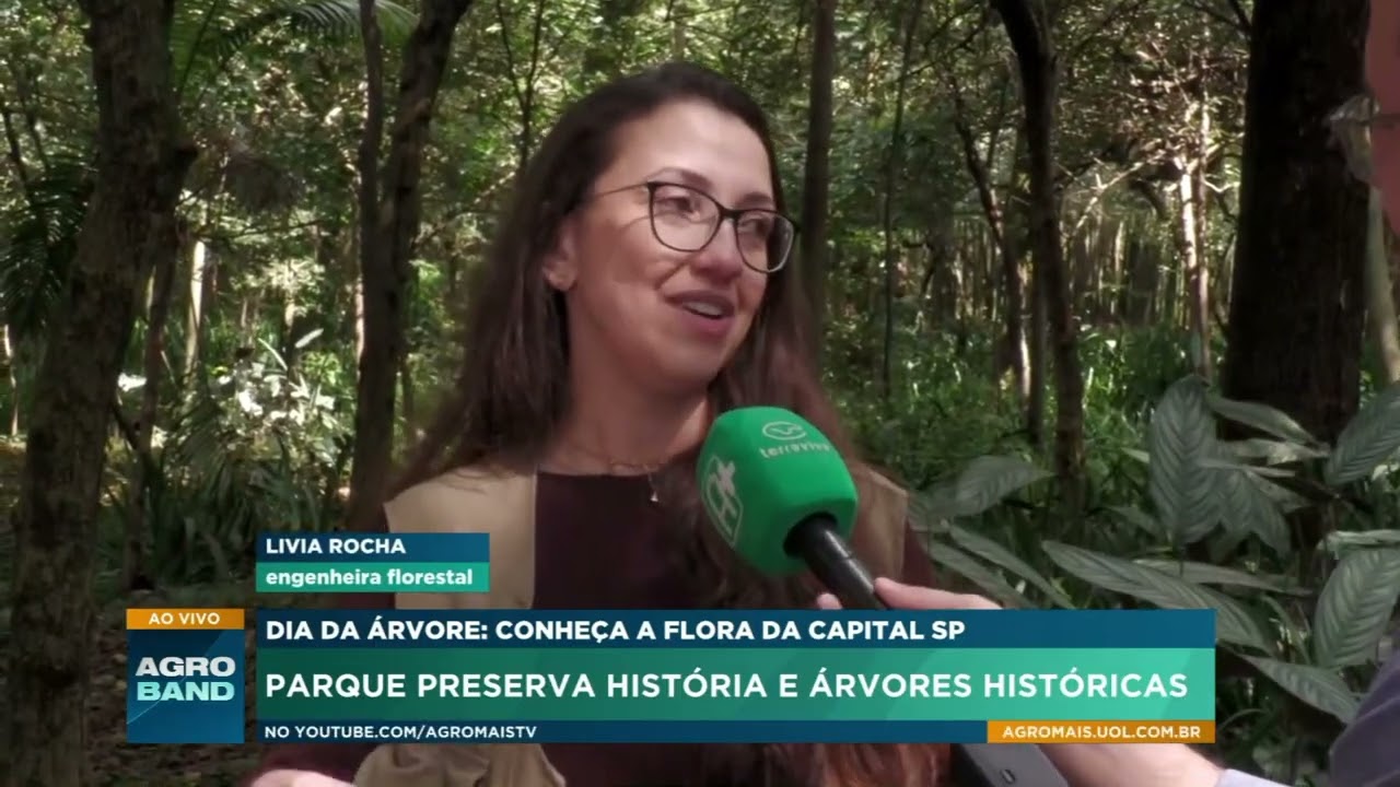 Parque da Independência preserva espécies de árvores no coração de São Paulo