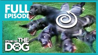 Thumbnail del capítulo