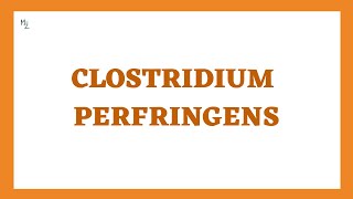 Clostridium perfringens | Gas Gangrene + Food Poisoning