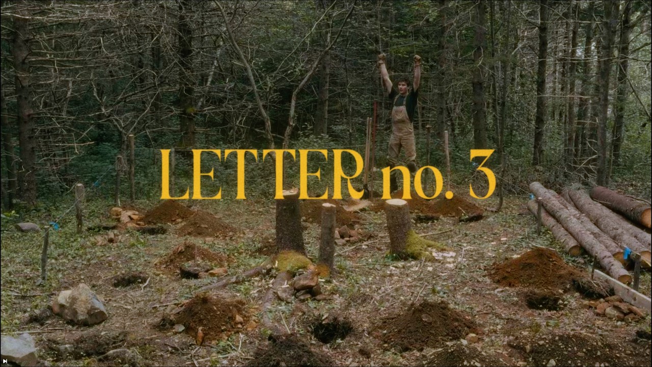 Breaking ground on my forest camp - letter no. 3