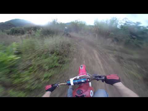 Peguinha Tornado e DT