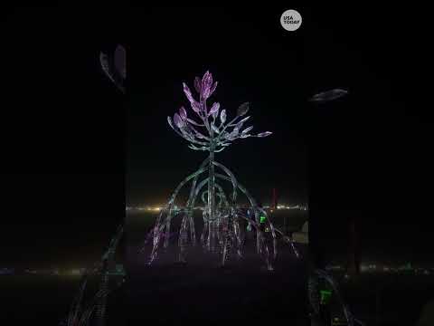 Nevada desert blooms with self expression at Burning Man 2026