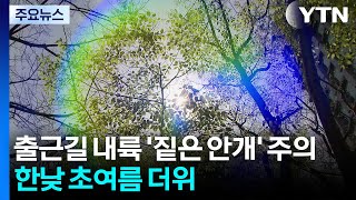 [날씨] 출근길 내륙 '짙은 안개' 주의...한낮 초여름 더위 / YTN