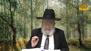 דף היומי בחצי שעה – בבא מציעא דף ע”ז