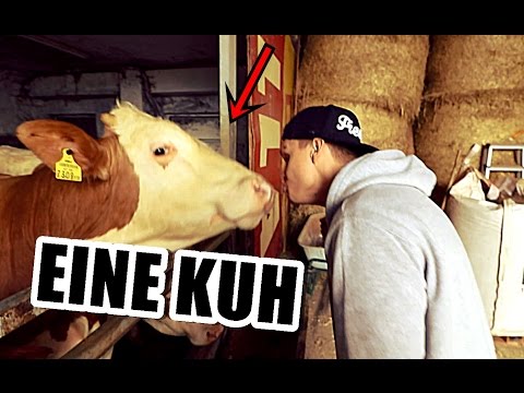 MARTIN AUF DEM BAUERNHOF | Ksfreakwhatelse