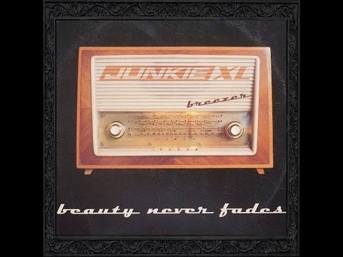 Junkie XL - Beauty Never Fades (Feat  Saffron)