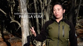 Laboratorio Austral - Pamela Vera / Reserva Magallanes