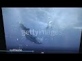 The Stock Footage Used For The Little Einsteins Episode Pirates Treasure READ THE DESCRIPTION