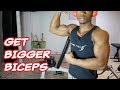 The Best Bicep Workouts for Bigger Arms