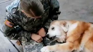 When Dogs Love you more than themselves 🐶 🎵hotvocals