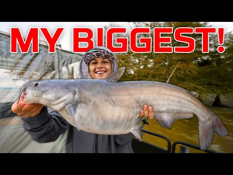 GIANT Catfish On Santee Cooper - I Caught My PERSONAL BEST!