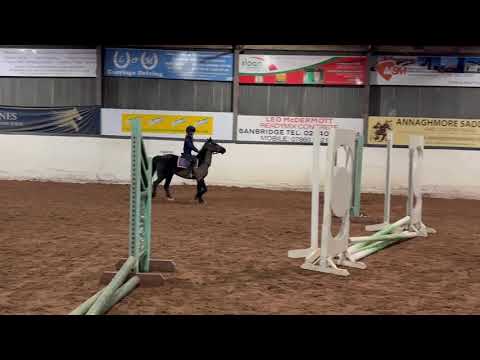 Smashing pony - Image 2