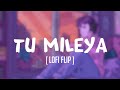 TU MILEYA [ LoFi Flip ] | LoFi Beats