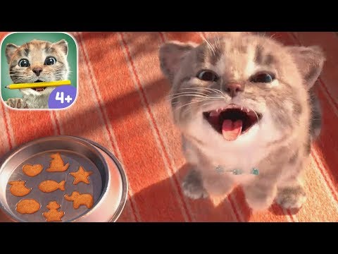 Play Fun Pet Animal Care Kids Games - Little Kitten Preschool - Educational Games for children