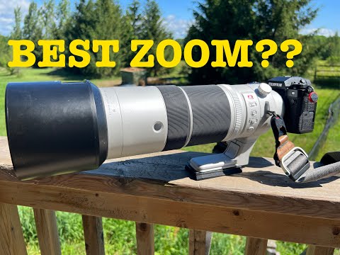 The Best Wildlife Photography Zoom of ALL TIME? Fuji XF150-600 Review