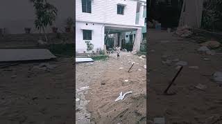 Run Run Run song artwork